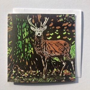 Tarjeta de felicitación en blanco, Richmond Park, Red Deer, Stage, 'Stand Sure', de mi impresión original de Lino.