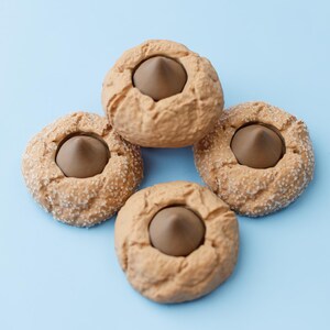 May include: Four round, light brown cookies with a dark brown, cone-shaped center, arranged on a light blue surface. The cookies have a textured, slightly speckled appearance, suggesting a sprinkle of sugar.