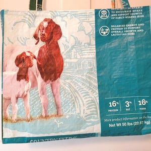 GOAT bag-teal