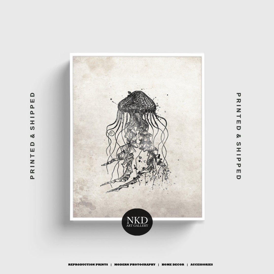 Vintage Jellyfish Illustration