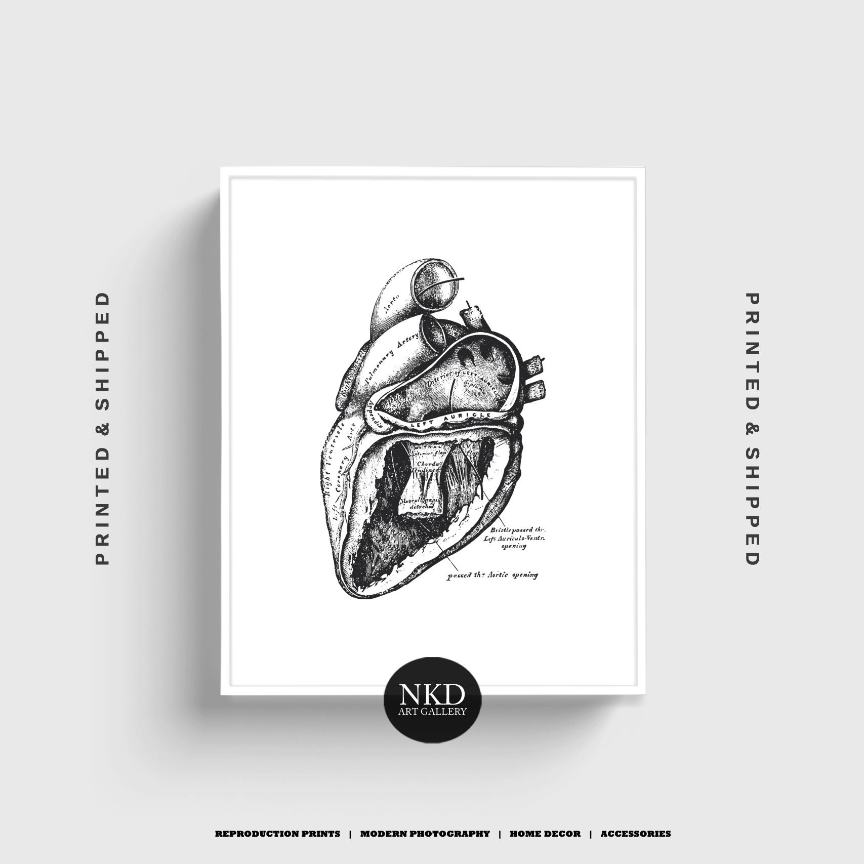 Black And White Heart Print 2 Anatomical Heart Print Vintage Etsy