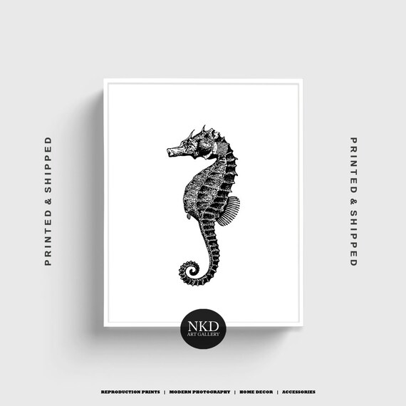 Black and White Seahorse Print Seahorse Wall Art Seahorse Etsy UK