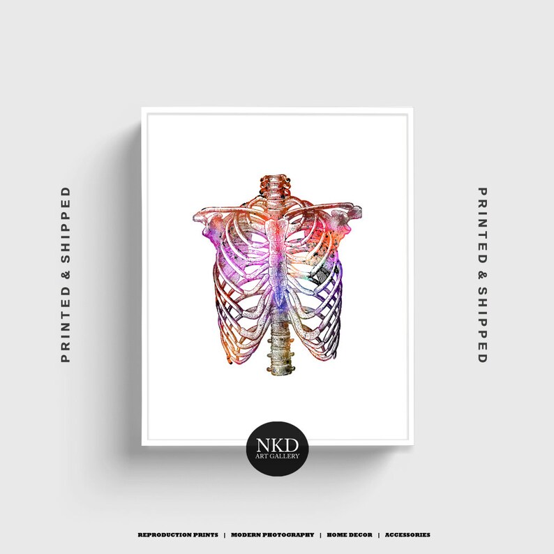 Watercolour Ribcage Print Ribs Anatomy Body Parts Body Etsy
