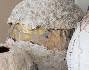 Puede incluir: Una pieza de arte esférica texturizada con un exterior rugoso blanquecino y un interior dorado. Los bordes tienen una apariencia irregular y en capas. Otra pieza similar es visible a la derecha.
