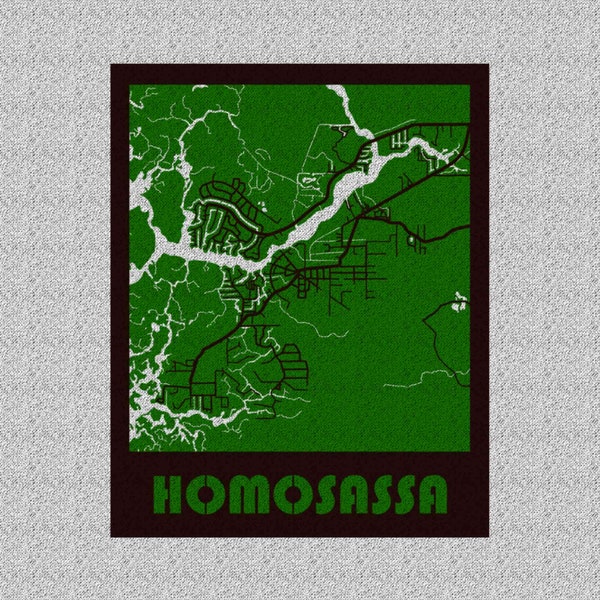 Find Zip Code For Homosassa Florida at Virginia Kornegay blog