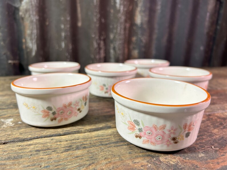 Rare Vintage Ramekins X6 / BOOTS HEDGE ROSE / Japanese Vintage Floral ...