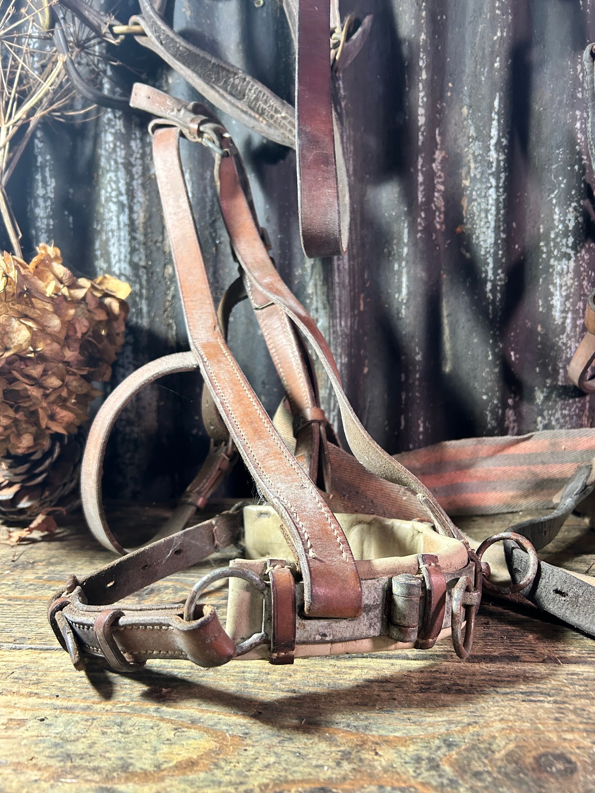 A vendre Harnais d'attelage cheval de trait - Sport & Plein air
