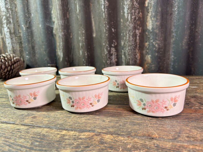 Rare Vintage Ramekins X6 / BOOTS HEDGE ROSE / Japanese Vintage Floral ...
