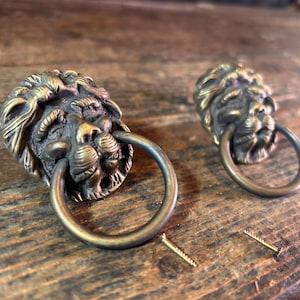 Könnte beinhalten: Zwei antike Schubladengriffe aus Messing in Form eines Löwenkopfes mit Ringgriffen und zwei Schrauben auf einer Holzoberfläche. Die Löwenköpfe haben detaillierte Mähnen und Gesichtszüge. Ideal für Möbelrestaurierung.