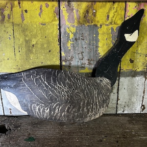 May include: A wooden goose decoy with a black head and neck, and a gray and white body. The decoy is painted with detailed feather patterns and has a white patch on its face. It is designed to attract other geese.