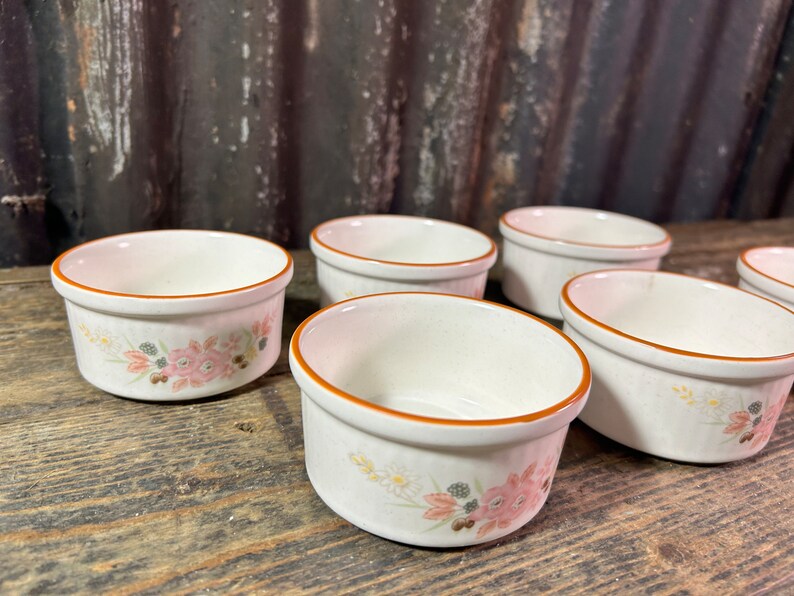 Midwinter Cookware Ramekins Rare Vintage Ramekins X6 / BOOTS HEDGE ROSE / Japanese Vintage Floral ...