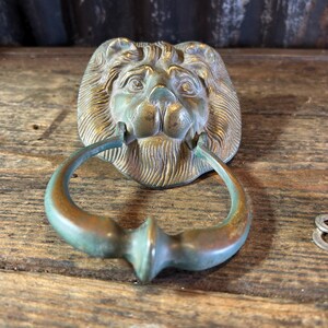 May include: A brass door knocker featuring a sculpted lion head with a detailed mane and a circular swinging ring. The metal has a weathered, aged patina with visible green oxidation and dark brown tones. Two metal washers and a bolt are included.