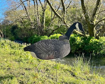 Life Size Vintage Decoy / CANADA GOOSE DECOY / Fold Up Multi Positions Decorative Wall Art Country Interiors Film Props Cabin Decor Birds