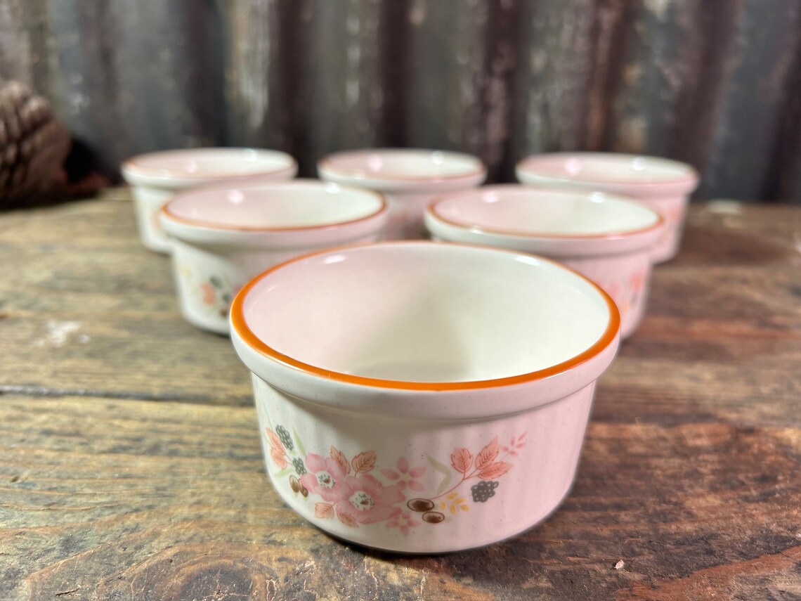 Midwinter Cookware Ramekins Rare Vintage Ramekins X6 / BOOTS HEDGE ROSE / Japanese Vintage Floral ...