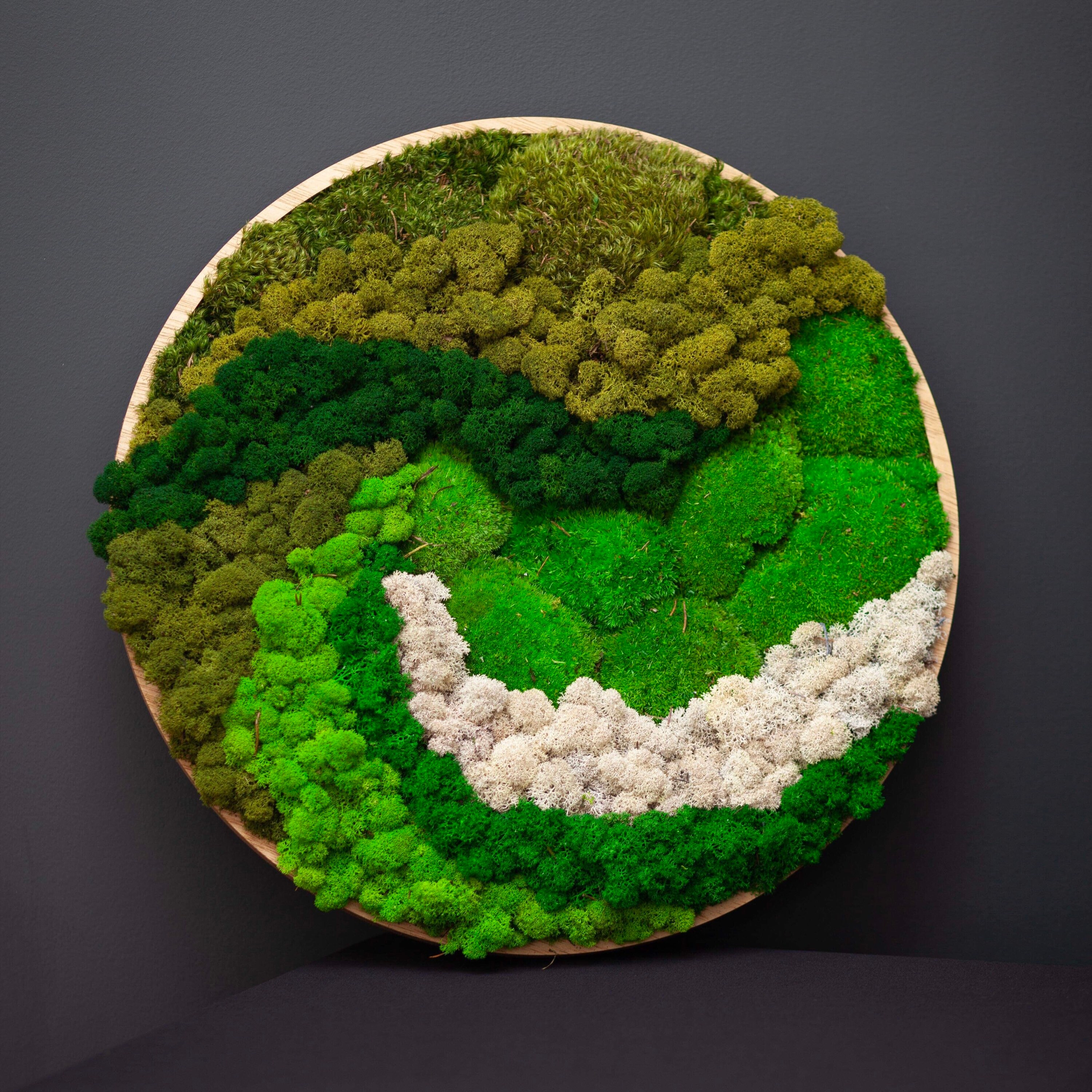 Round Moss Art Moss Wall Art Vertical Garden Etsy