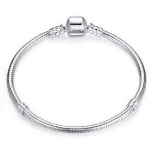 May include: A silver snake chain bracelet with a small silver bead charm.
