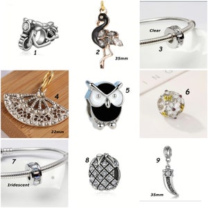 May include: Nine silver charm beads for a bracelet or necklace. The charms include a motorcycle, a flamingo, an owl, a fan, a pineapple, a tooth, and three round beads with clear, iridescent, and floral designs. The charms are 22mm and 35mm in size.