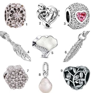 May include: Ten silver charm beads for a bracelet or necklace. The charms include a music note heart, a flower, a feather, a pearl, a heart with leaves, and a crystal-encrusted bead.