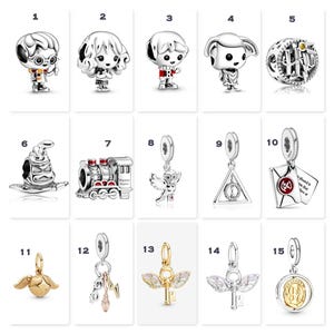 May include: A collection of silver and gold-toned charms, including character figures, a train, a sorting hat, and other themed pendants. The charms are designed with intricate details and are suitable for bracelets or necklaces.