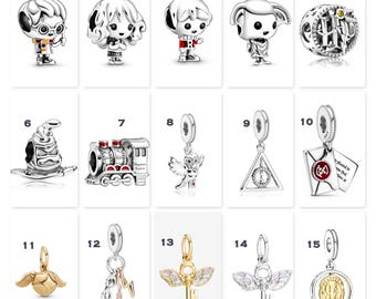 1 pc, Charm Series. Magic, Spell, Magician, Wizard, Owl, Hat, Train, Harry,  Fits European Charm Bracelet (HP 01)