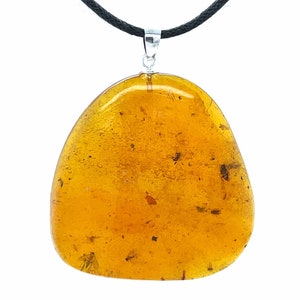 Dominican Amber Pendant with Fossil Insect Inclusions - Sterling Silver .925