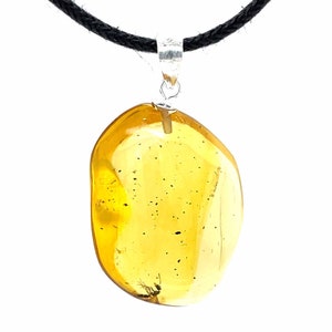 Dominican Amber Pendant with Fossil Ant Inclusions - Sterling Silver .925