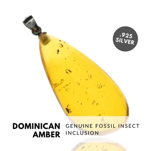 GNAT - Natural Dominican Amber Pendant with Fossil Inclusion, Sterling Silver