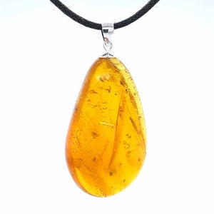 Dominican Amber Pendant with Fossil Insect Inclusions - Sterling Silver .925