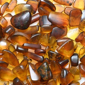 May include: A collection of polished amber stones in various shades of yellow, orange, and deep brown. The stones are translucent and opaque, featuring smooth, rounded edges and irregular shapes with visible internal inclusions and dark specks.