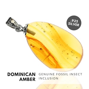 INSECTS - Natural Dominican Amber Pendant, Fossil Inclusion, Sterling Silver