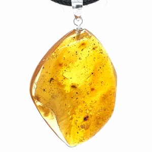 Pendentif en ambre dominicain avec de nombreuses inclusions d&#39;insectes fossiles - Argent sterling .925