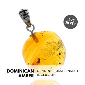 INSECT - Natural Dominican Amber Pendant with Fossil Inclusion, Sterling Silver