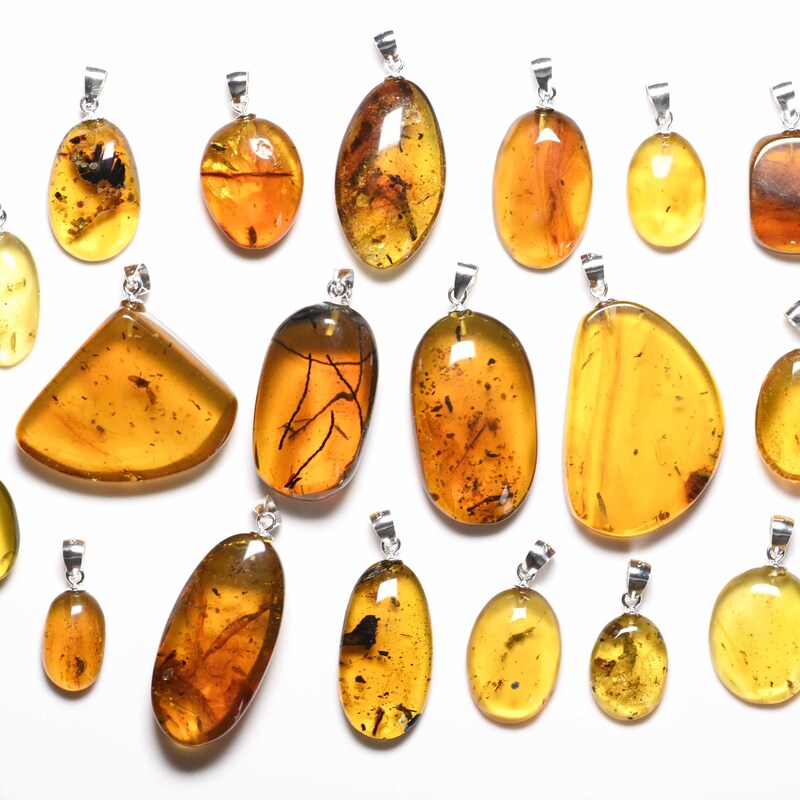 Amber With Insect - Etsy