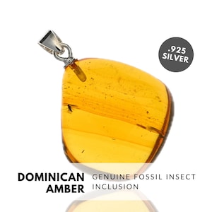 FLY - Natural Dominican Amber Pendant, Fossil Inclusion, Sterling Silver