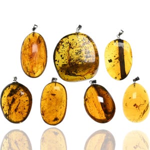 Large Natural Burmese Amber Pendant with Fossil Insect Inclusion - Sterling Silver Boho Pendant