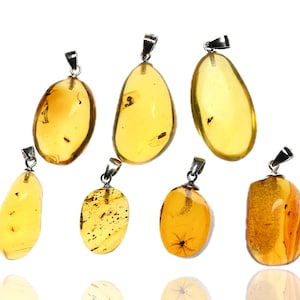 Natural Dominican Amber Pendant with Fossil Insect Inclusion - Sterling Silver Boho Pendant - Entomology, Gift, Jewelry