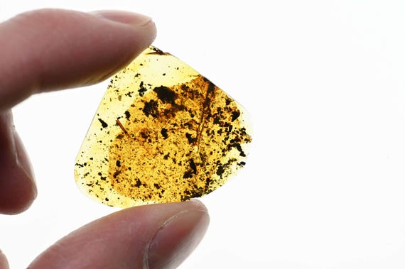 激レア！！羽毛入りビルマ琥珀 i-img1200x1200-