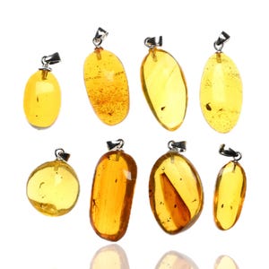 Natural Dominican Amber Pendant with Fossil Insect Inclusion - Sterling Silver Boho Pendant - Entomology, Gift, Jewelry