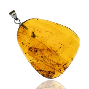 Resin Tube - Natural Burmese Amber Pendant with Fossil Inclusion Sterling Silver