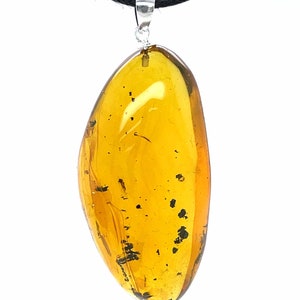 Dominican Amber Pendant with Fossil Insect Inclusions - Sterling Silver .925