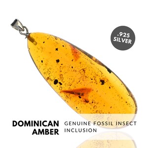 INSECTS - Natural Dominican Amber Pendant with Fossil Inclusion, Sterling Silver