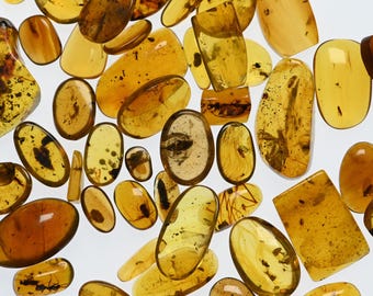 激レア！！羽毛入りビルマ琥珀 琥珀コレクター必見！驚愕の逸品、およそ1億年前の生物の「羽毛