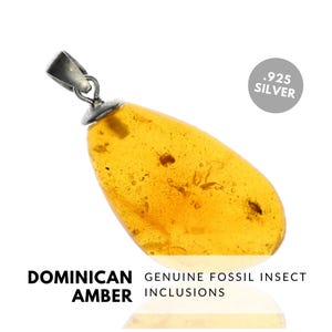 Ant, Midge - Natural Dominican Amber Pendant Fossil Inclusion, Sterling Silver
