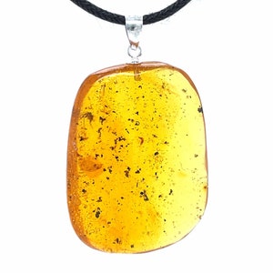 Dominican Amber Pendant with Numerous Fossil Insect Inclusions - Sterling Silver .925