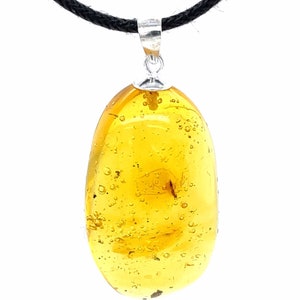 Dominican Amber Pendant with Wasp and movable water bubble - Sterling Silver .925