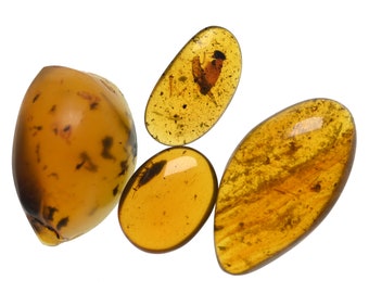 Lot of 4 Coleoptera (Beetle) Fossil inclusion in Burmese Amber