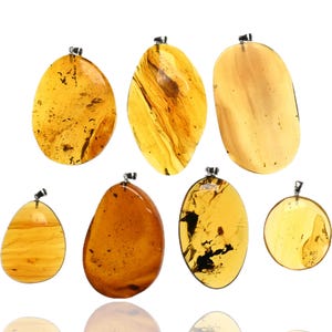 Large Natural Burmese Amber Pendant with Fossil Insect Inclusion - Sterling Silver Boho Pendant