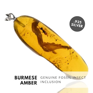 Plant - Natural Dominican Amber Pendant with Fossil Inclusion - Sterling Silver