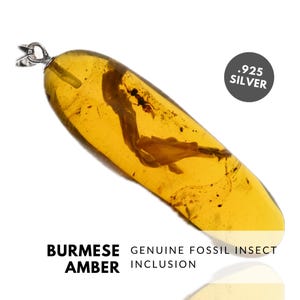 Plant - Natural Dominican Amber Pendant with Fossil Inclusion - Sterling Silver