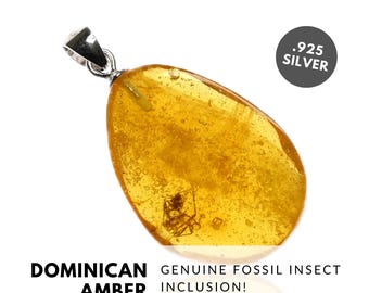 Small Coin-Shaped Amber Pendant with Unique Insects Inside, Large 